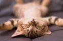 fatigue