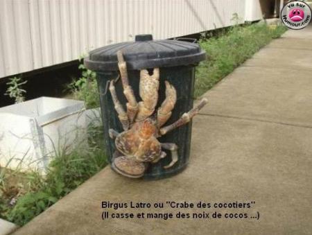 c'est quoi ce truc