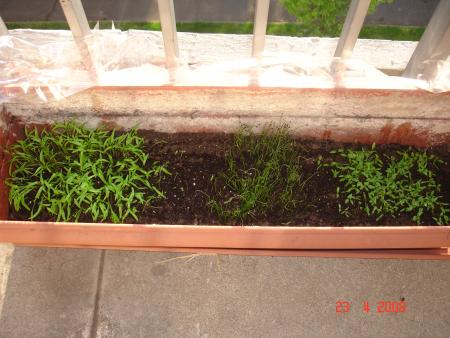 vive les herbes