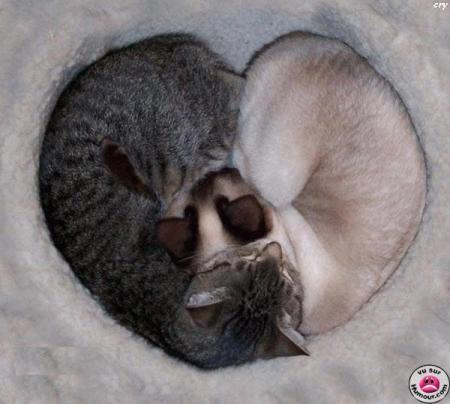 c'est beau l'amour