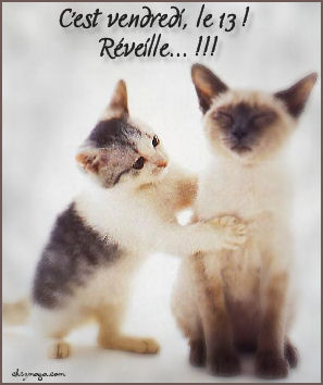 allez vendredi 13 mettez la chance de votre côté