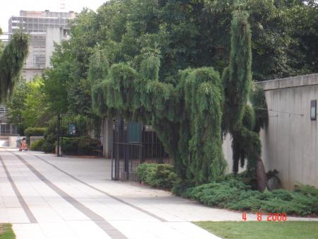 parc André Citroen