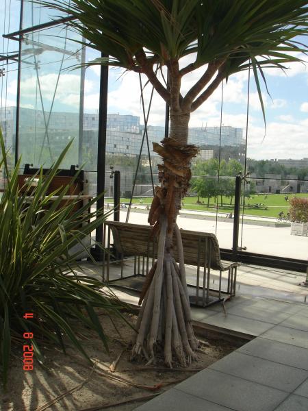 les serres du parc