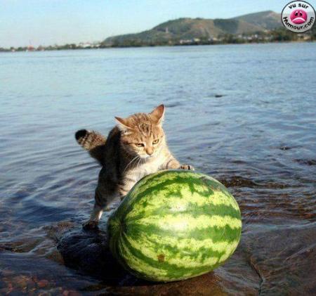 pas content