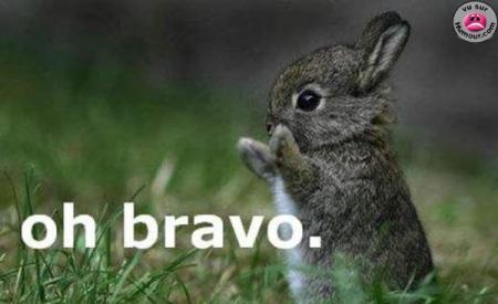 trop mignon