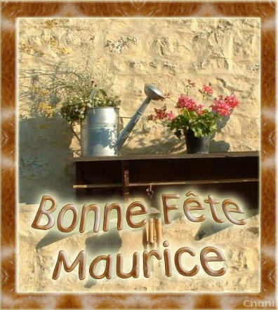 bonne fête amour