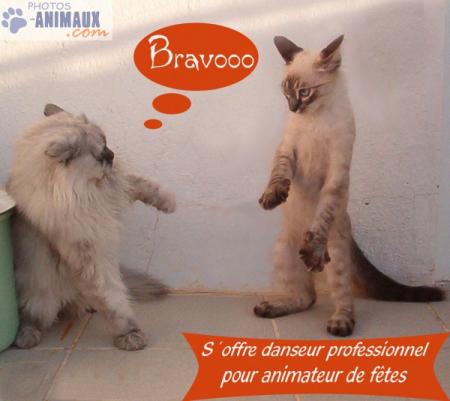 la classe