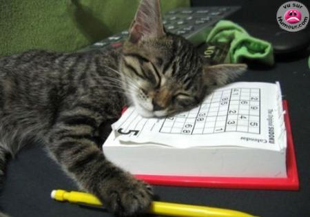 ça fatigue