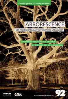 Expo Arborescence - Parc de Sceaux