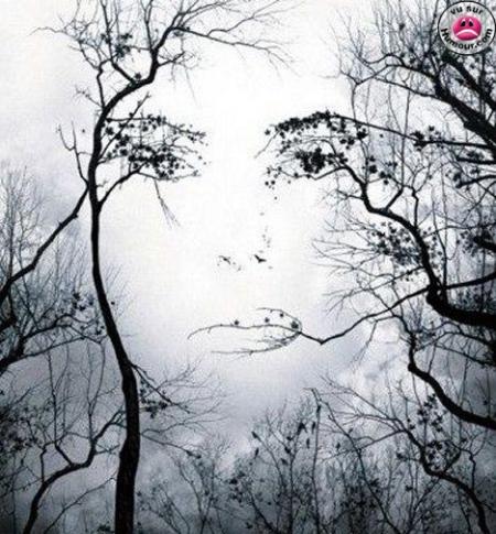 Visage caché