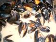 Moule à la crème