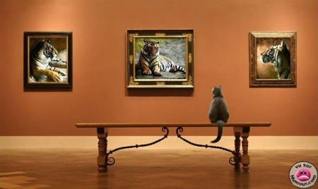 la galerie d'art spéciale