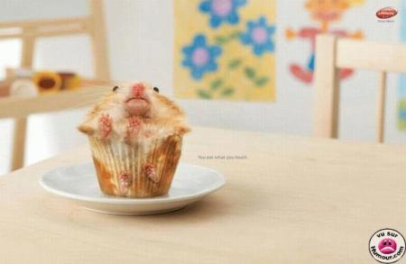 Muffins spécial chat 